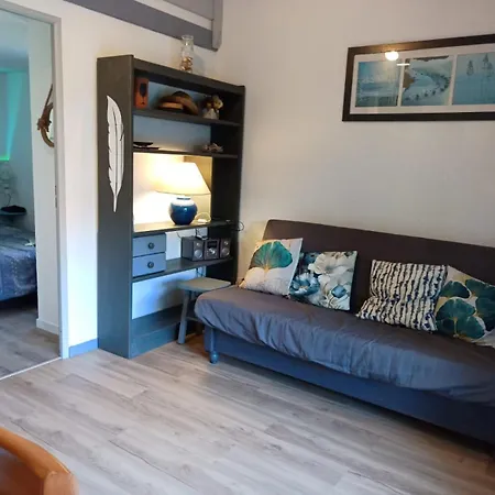 La Maisonnette Du 207 - Terasse A Pied * La Palmyre