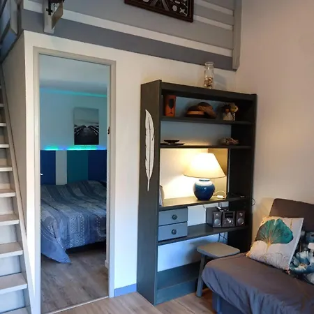 La Maisonnette Du 207 - Terasse A Pied Prázdninový dům *